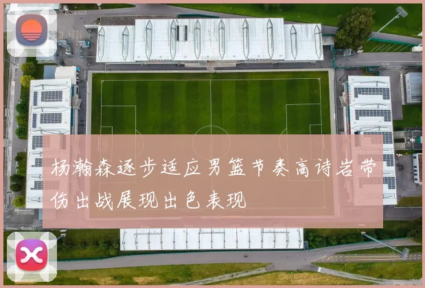 杨瀚森逐步适应男篮节奏高诗岩带伤出战展现出色表现